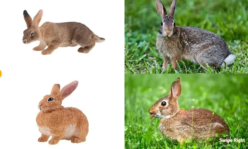 12Pcs Simulation Rabbit Farm Animal Model Toy Mini Rabbits Figures Dolls Action