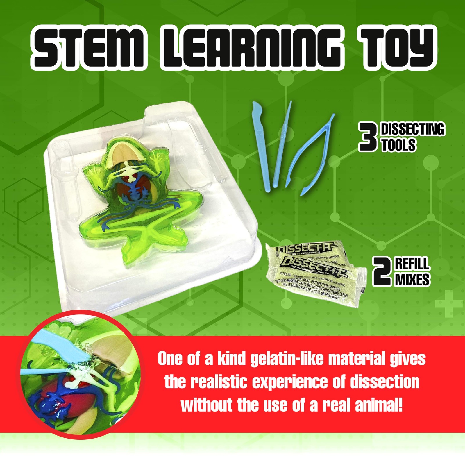 Dissect It Dissect-It Upgraded Frog Dissection Toy Kit Lab Experience