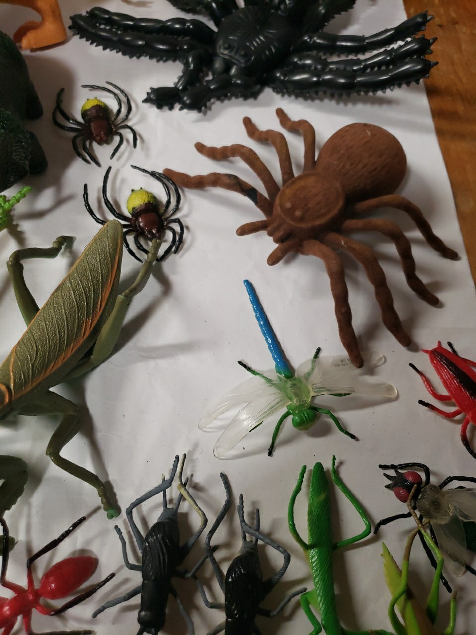 Mixed Lot Of 41 Insects & Reptile Toy Figures, Science, Educational, Nature
