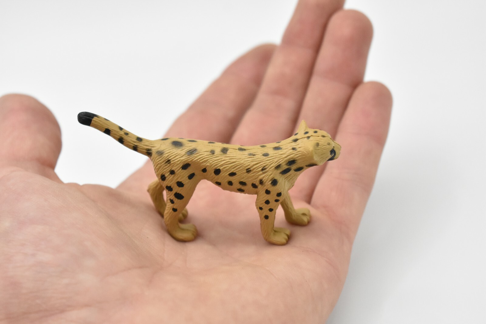 Cheetah Cub, Toy Model Figurine 3″ F251-B206