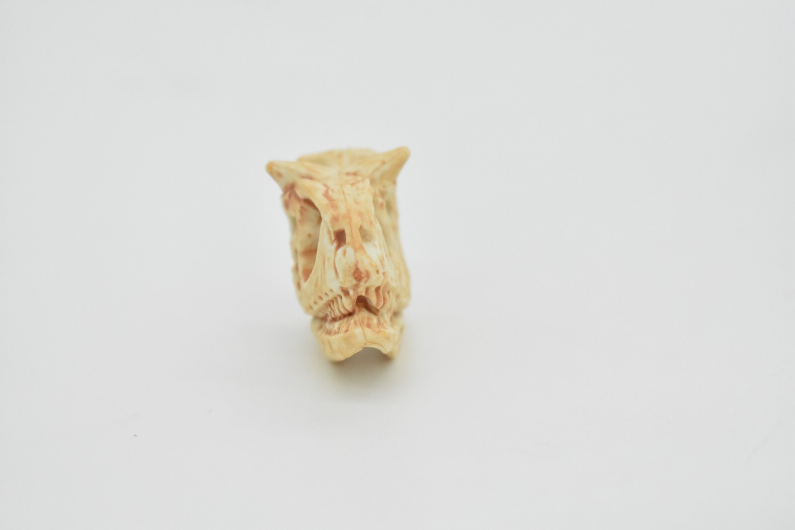 Carnotaurus, Education,Dinosaur Skull Fossil, Very Realistic Rubber Toy Model 2″