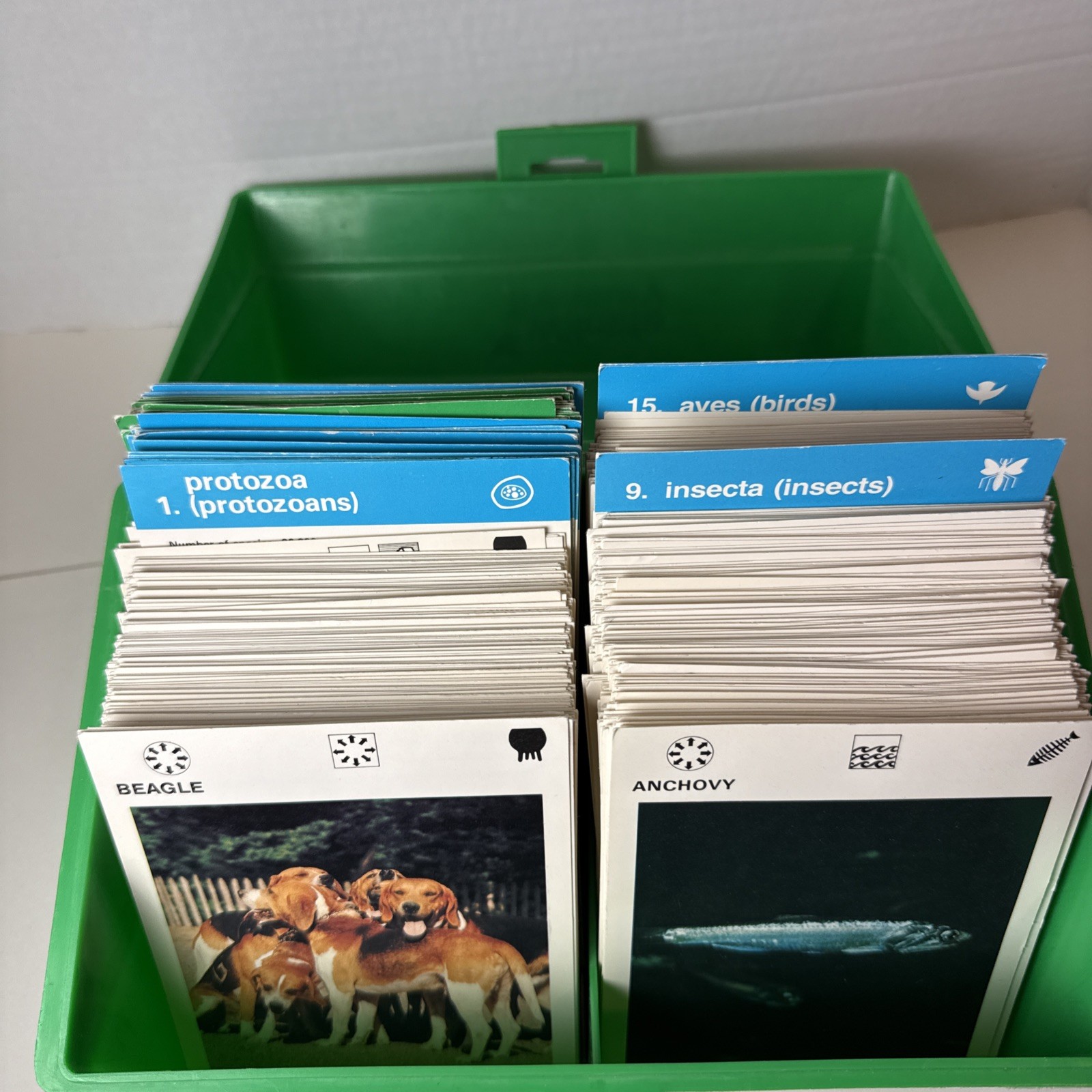 Vtg Illustrated Wildlife Treasury 465 Animal Fact Cards Dividers Case 1970s