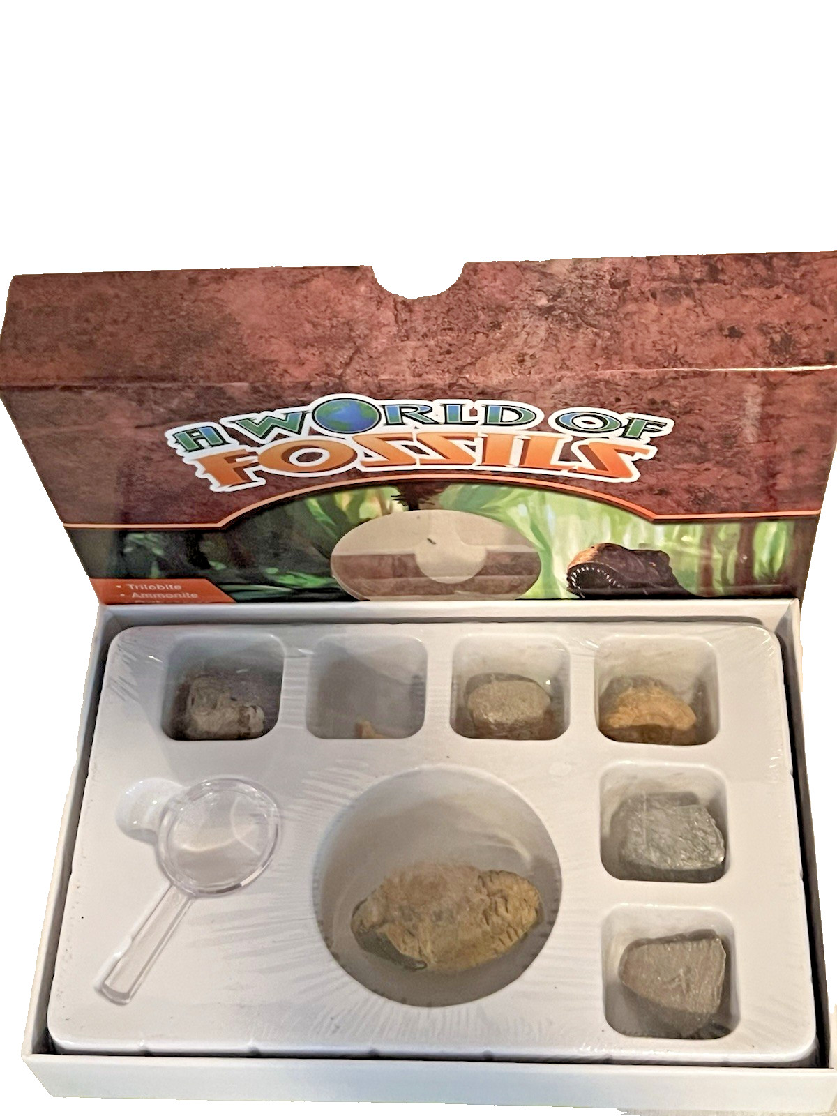 A World Of Fossils kit Dinosaur bone shark tooth ammonite & more