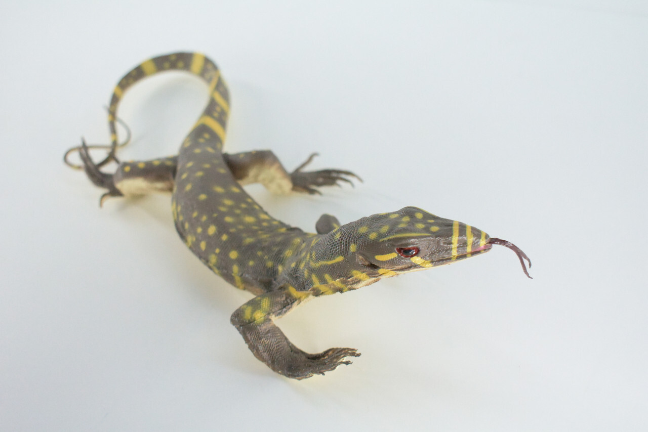 Realistic Monitor Lizard Toy Hard Rubber Lizard, Reptile, Model, 13″ IM20 B656