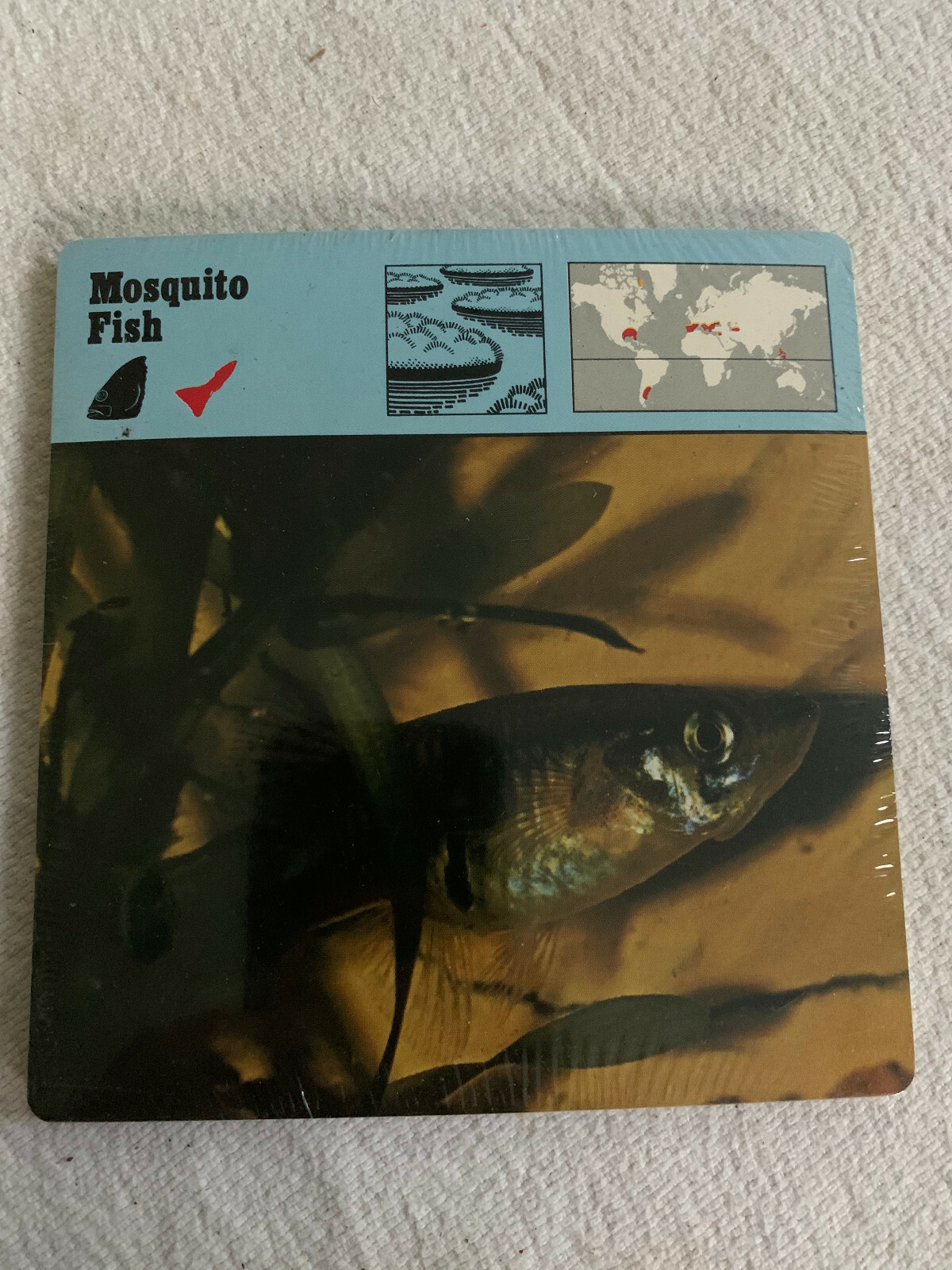 1977 Editions Rencontre S.A. Lausanne Animal Flash Cards Mosquito Fish 24-pack