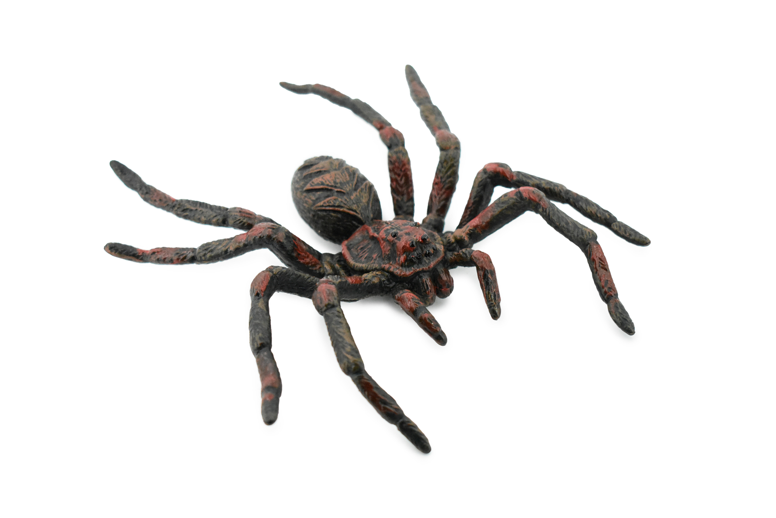 Wolf Spider, Hand Painted, Realistic Figurine, Model, Gift 5″ CH186 BB115