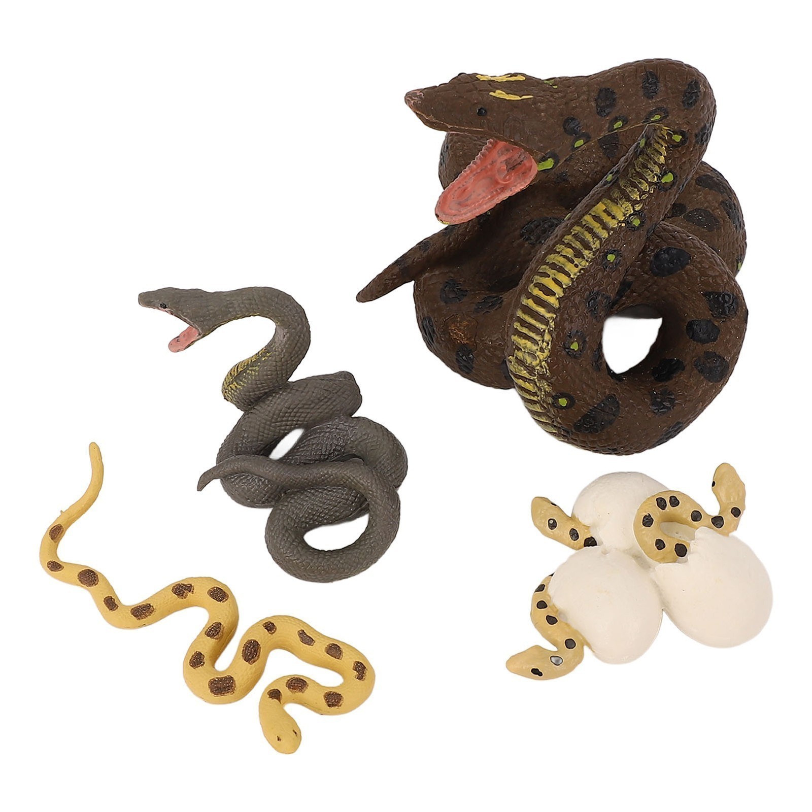 4 Pcs Snake Growth Cycle Model Toys Realistic Educational Play Simulated Snake