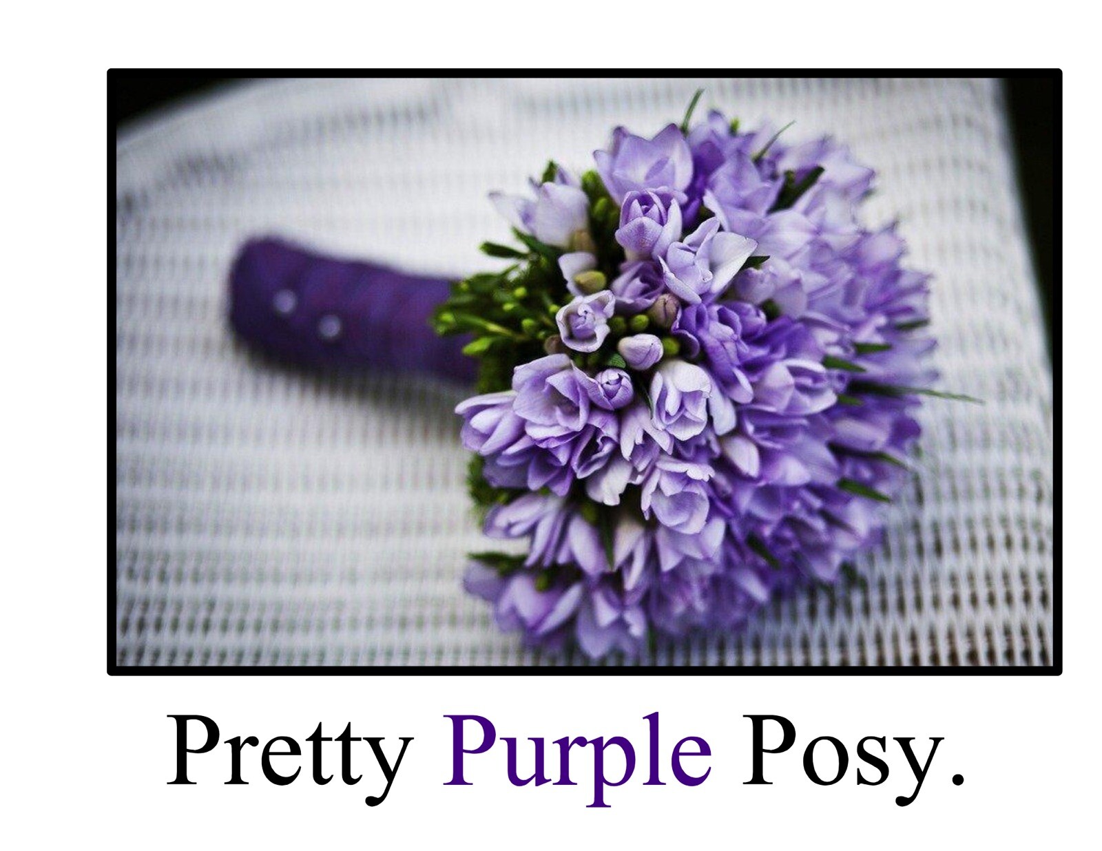 Purple | Pretty Purple Posy | LEARNING COLORS | Spiral Bound Picture Book