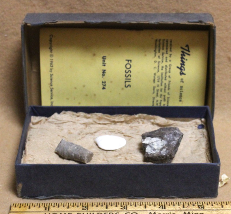 1963 THINGS of Science FOSSILS Unit No 274 by Science Service included 3 fossils