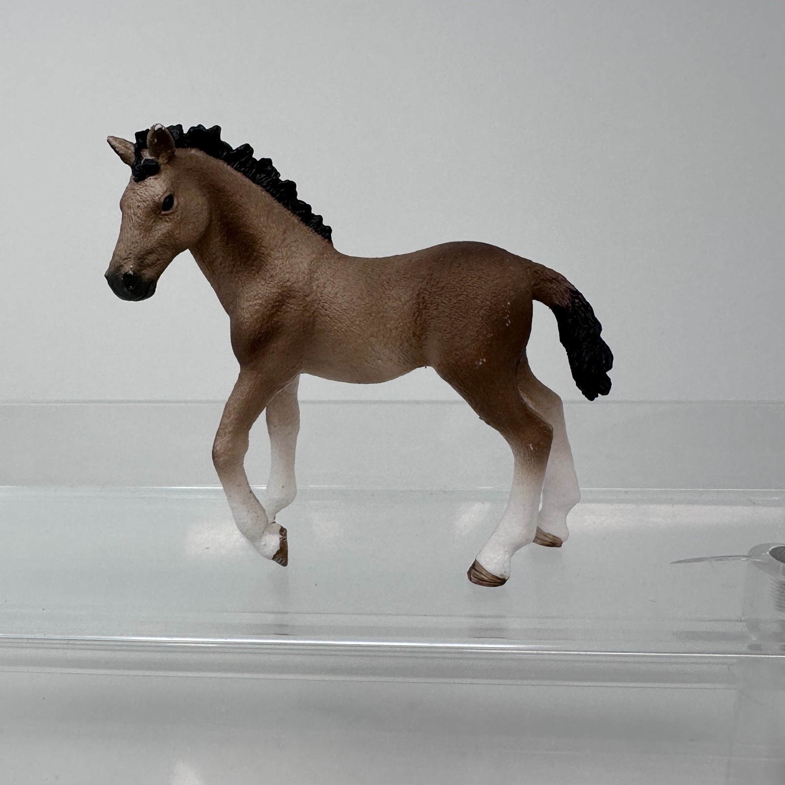 Schleich Andalusian Foal Figure Brown Baby Colt Horse Farm Animal Figurine 2016