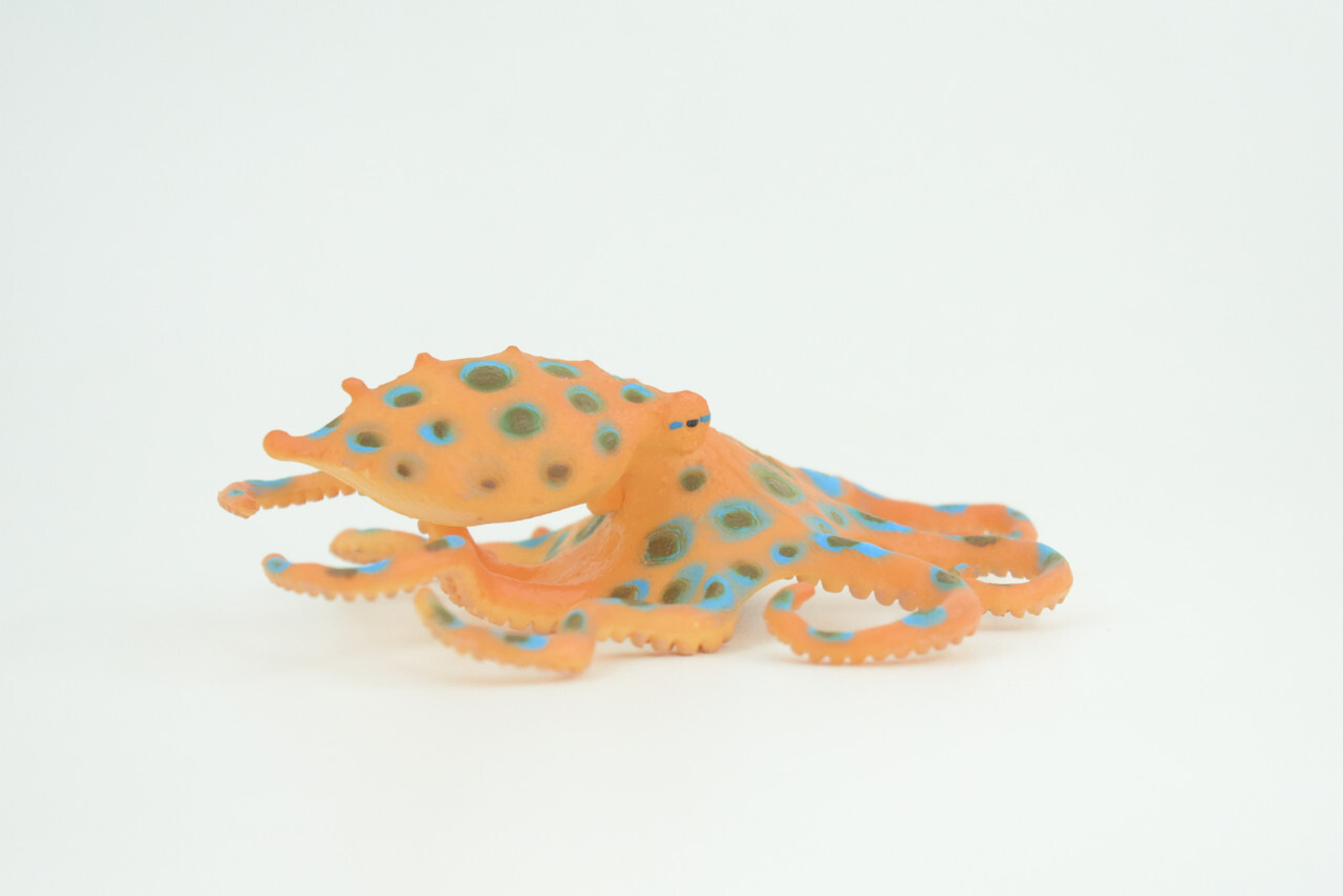 Blue Ringed Octopus Toy, Realistic Hand Painted Rubber Model, 4 1/2″ CH850 BB197