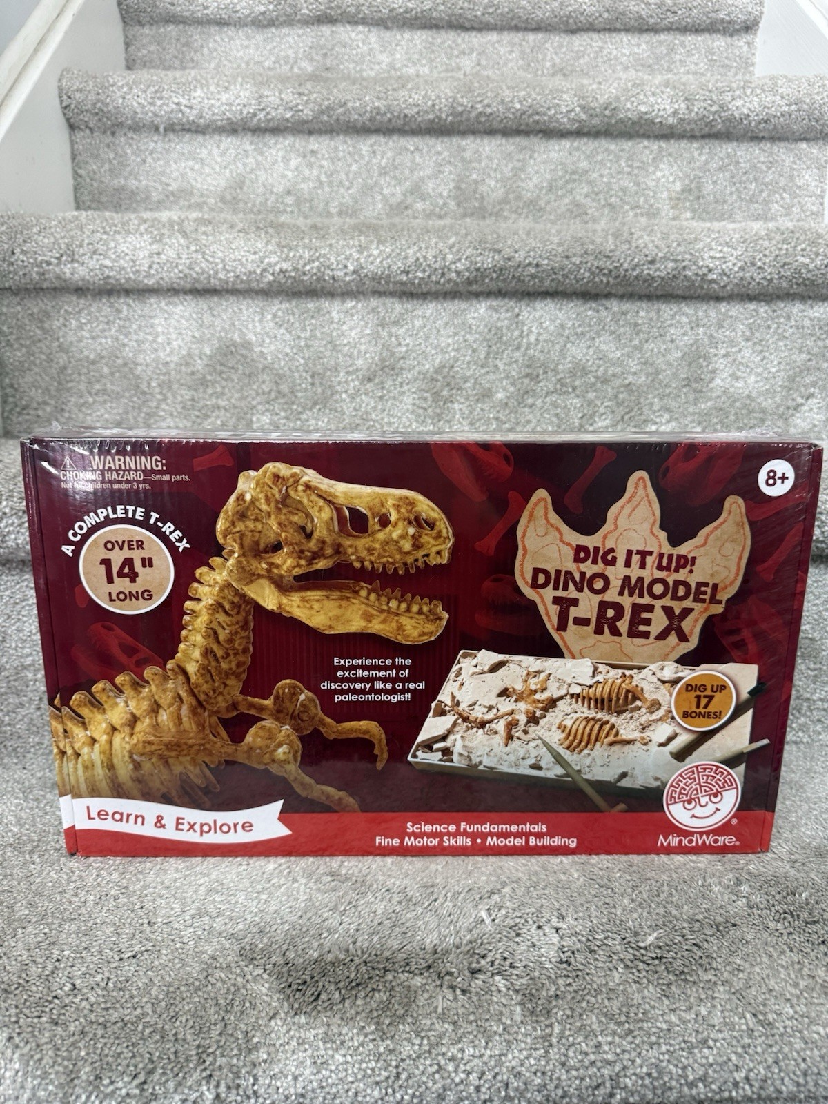 MindWare Dig It Up Dino Model T-Rex Science Kit Over 14″ Long with Tools