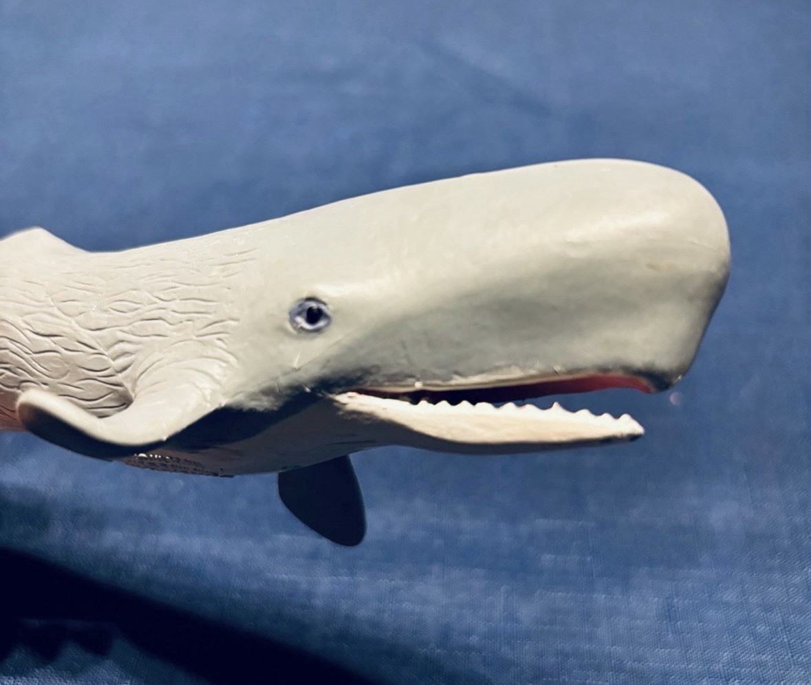 Safari Ltd Sperm Whale Plastic Figurine 1998 Miami FL USA Made in China toy