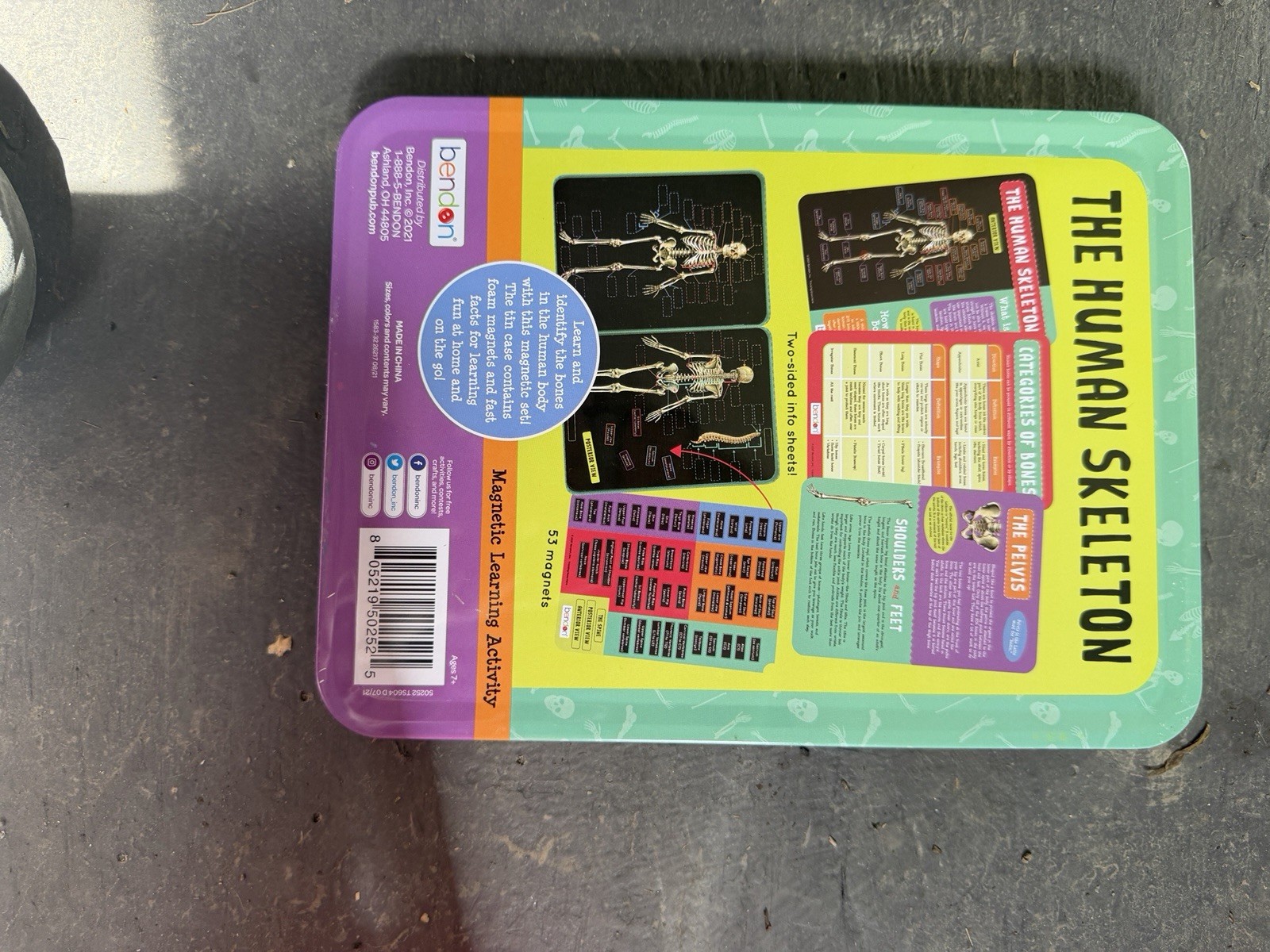 Bendon STEM Magnetic Learning Activity Human Skeleton Educational Tin Set
