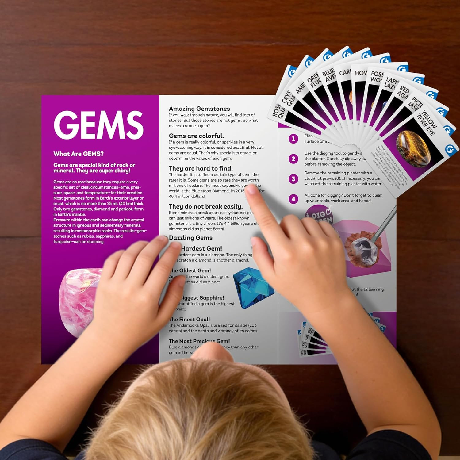 Gemstone Dig Kit, Dig up 12 Real Rocks and Minerals, Gem Digging Kit, Toy Geolog