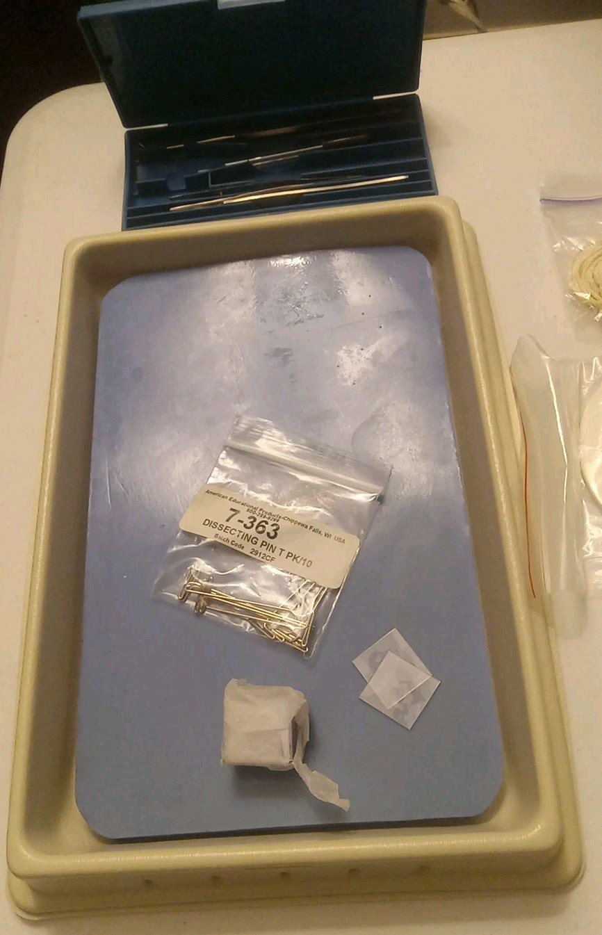 Miscellaneous Homeschool Science Lab Materials, Mix Of Supplies, Science,biology