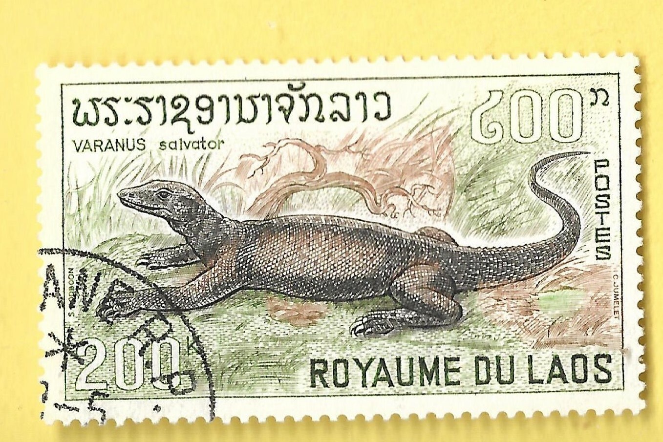1967 LAOS WILD ANIMAL REPTILE WATER MOINTER