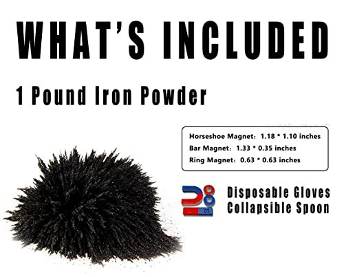 DAILYLIFE Iron Filings 1 LB Bulk Powder with 4 Magnets for Science Experiments