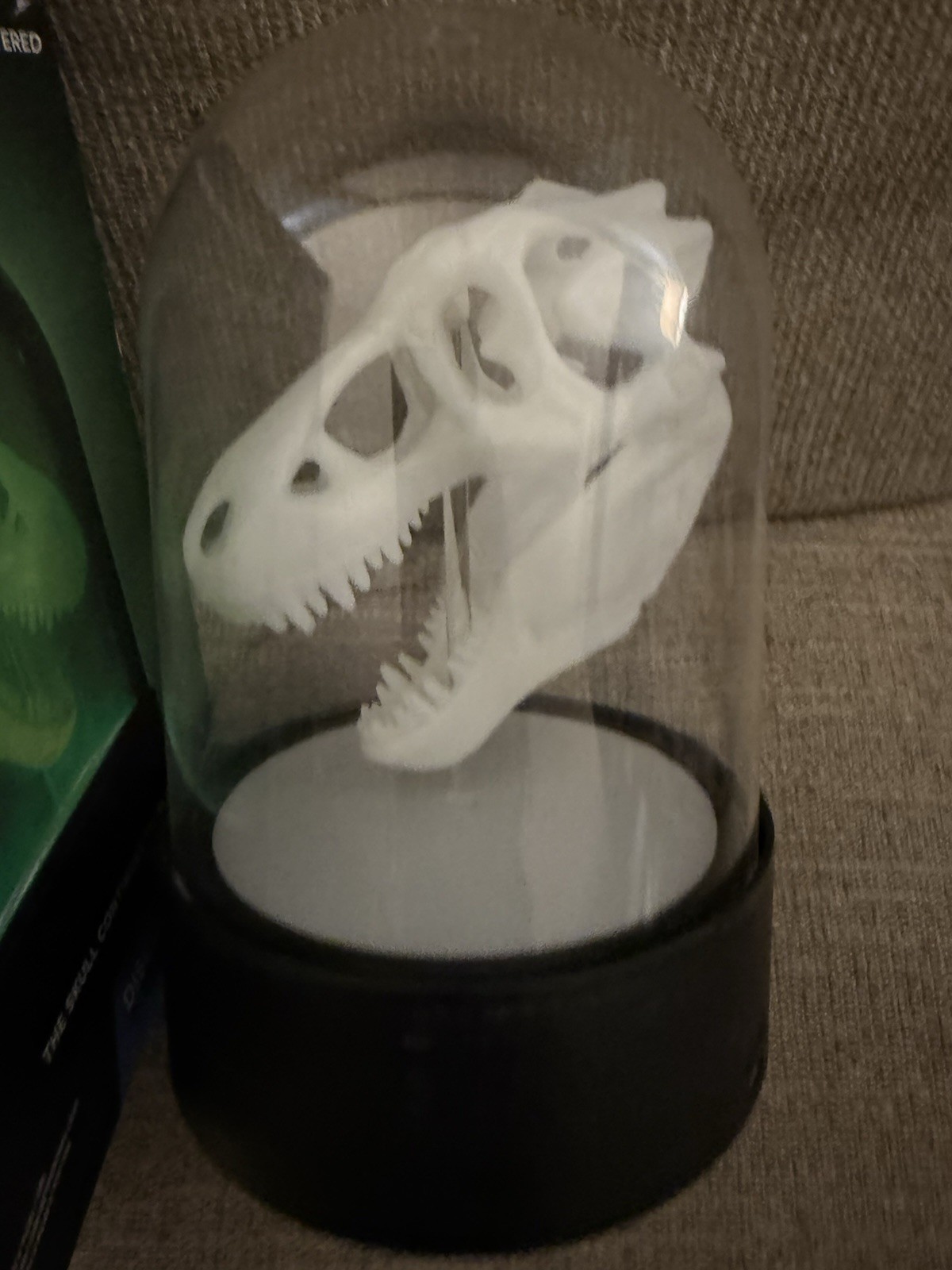 Discovery Channel Glow in the dark T-Rex skull Toys Night Light Dinosaur Dino