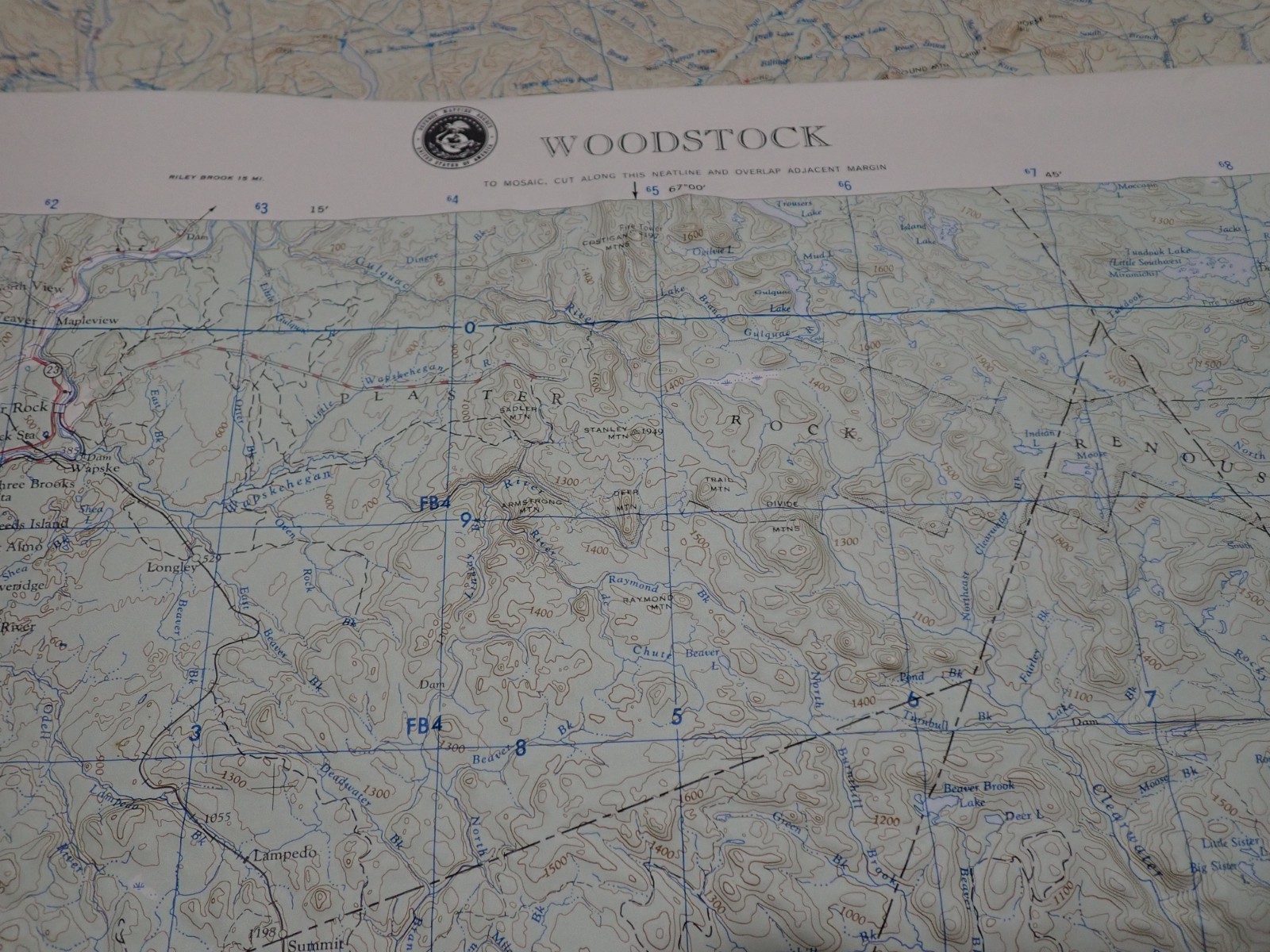 Hubbard Scientific Raised Relief Map Unframed 29″ Woodstock Maine NL 19-6