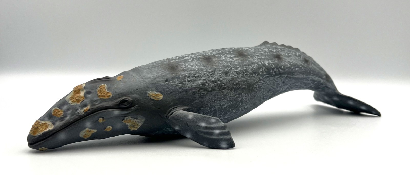 Mojo Grey Whale Figure 2018 Portugal Grauwal 10.5″