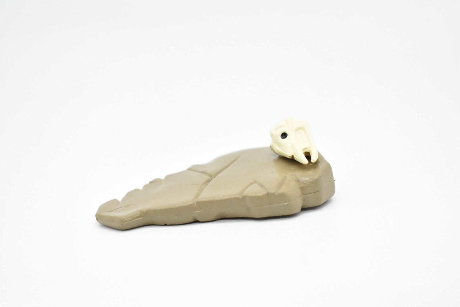 Skull on Slab of Mud, Fossil, Realistic Plastic Toy Model 2 1/2″ F4460 B222