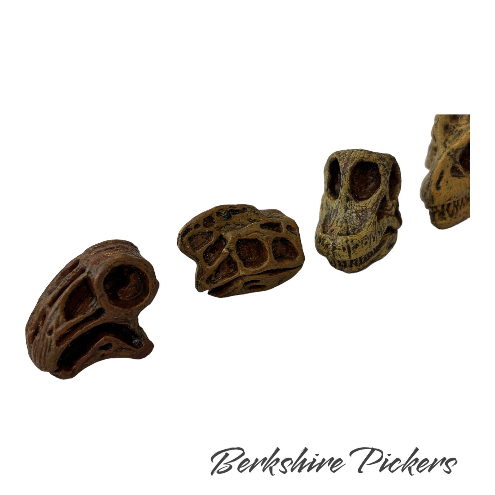 Safari Ltd Dinosaur Skull MINI Replica Lot Of 9
