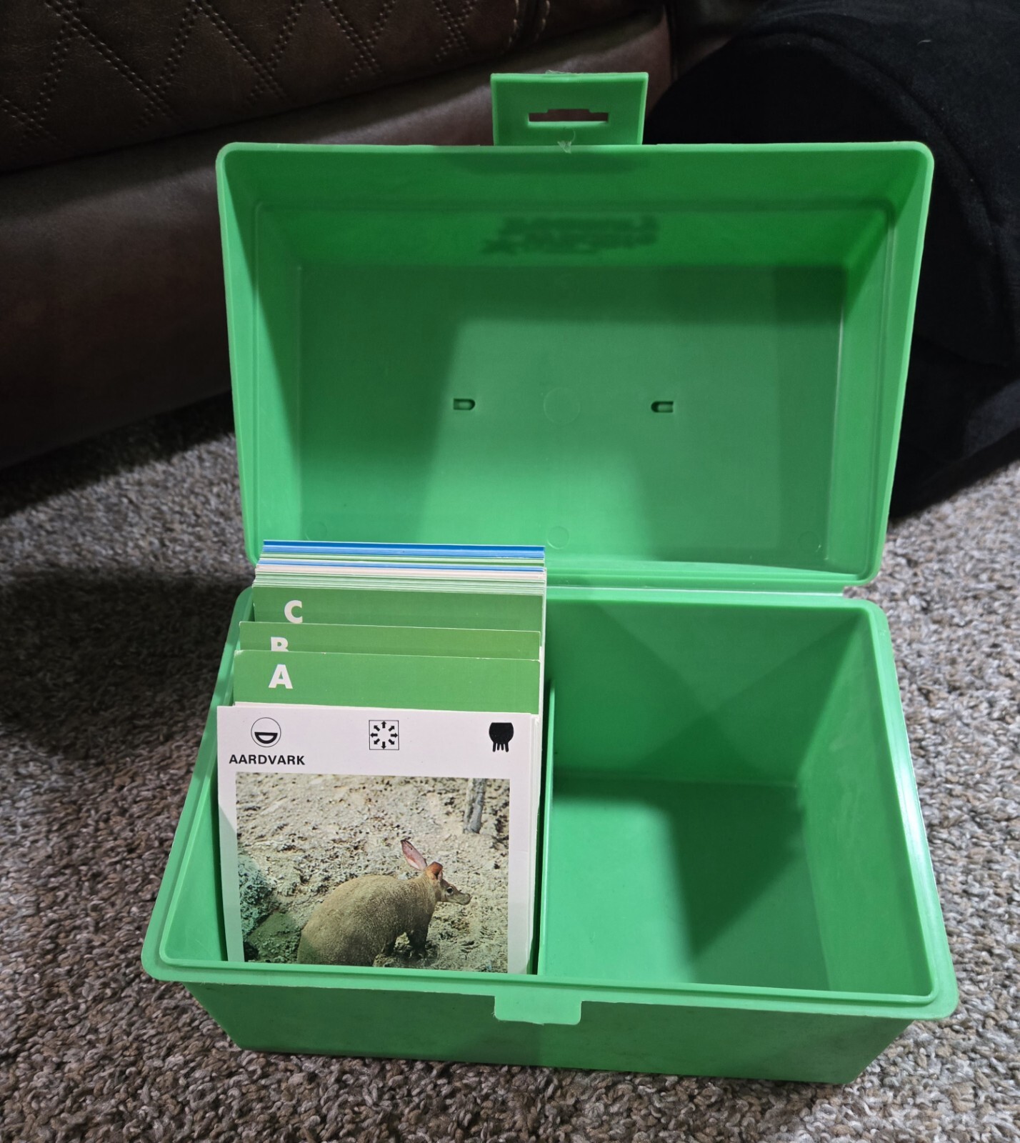 Illustrated Wildlife Treasury Green Plastic Box As Is With Some Cards