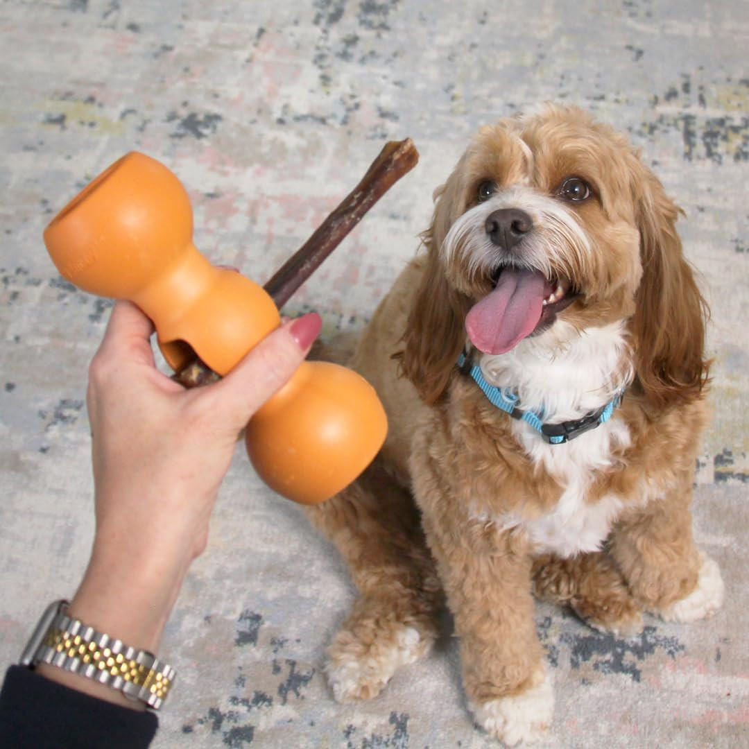 Bow Wow Labs Buddy Safety Device | Newly Redesigned Bully Stick Holder for Dogs