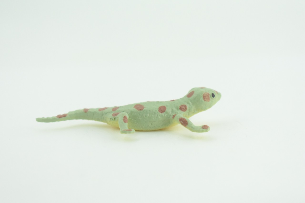 Spotted Gecko, Toy Lizard, Realistic Hand Painted Rubber, 2.5″ WR46 B197