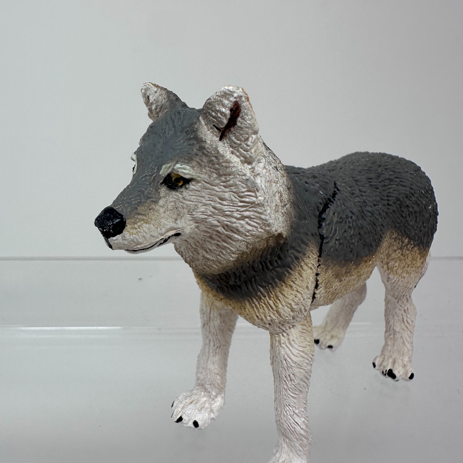 Safari Ltd Gray Wolf Figure Wild Dog Wildlife Zoo Jungle Animal Figurine 4″ 2020
