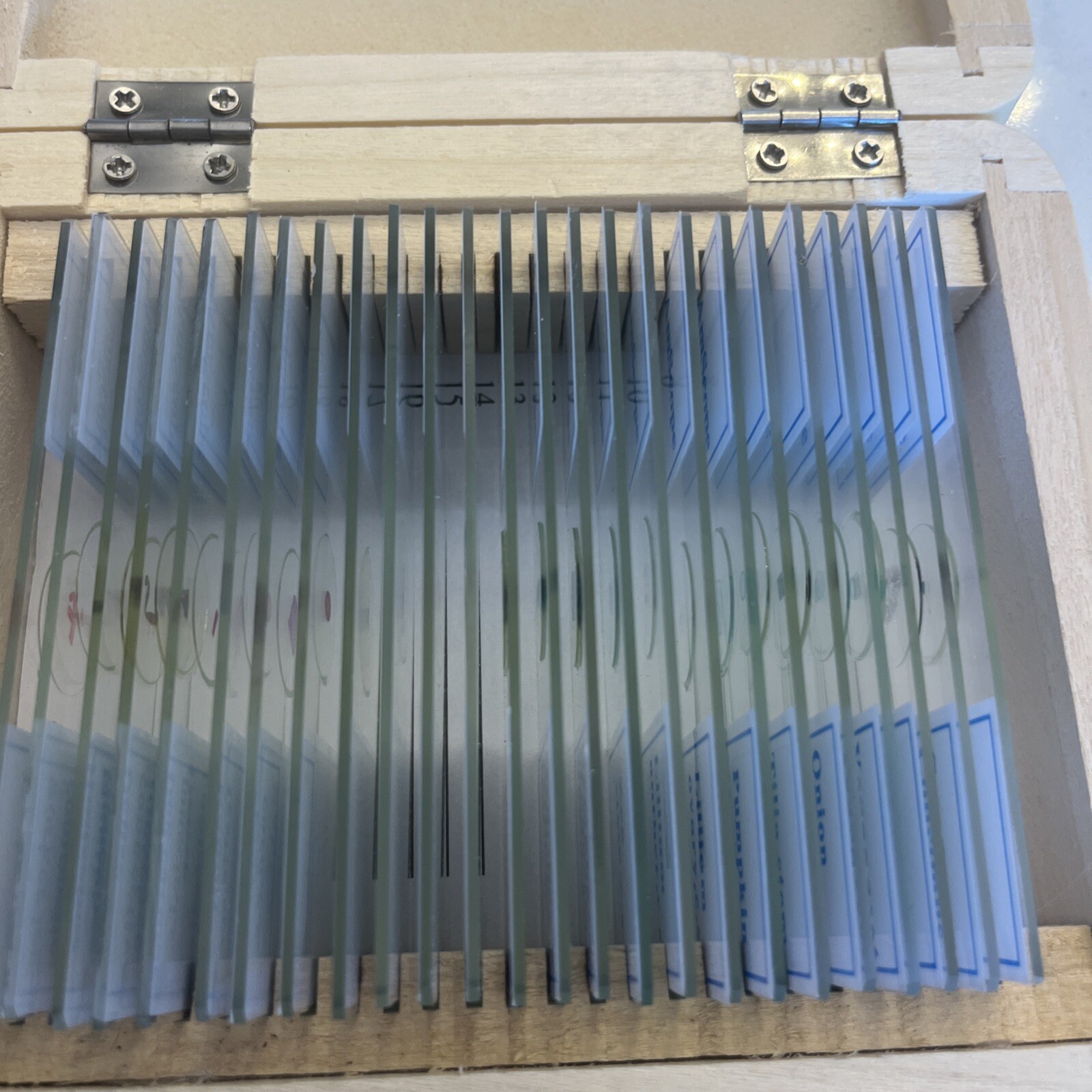 AmScope 25 Prepared Biology Microscope Glass Slides in Wooden Box B49/158