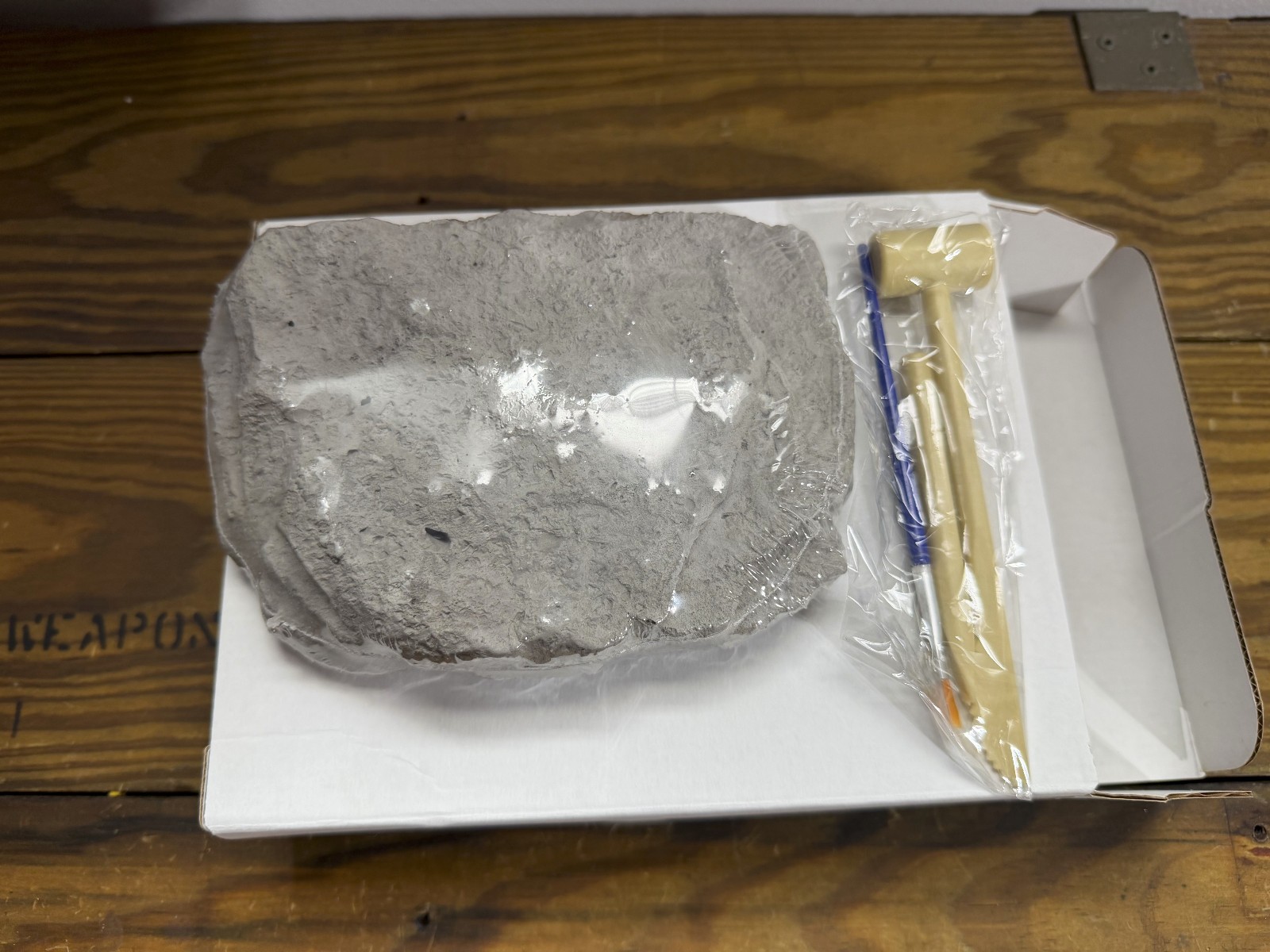 Science Dinosaur Digging Fossil Kit for Kids, Dinosaur Bones Excavation Kit