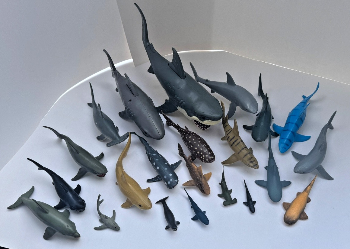 Ocean Animal Figure Lot – 22 Sharks + Dolphin + Beluga Whale– Toy Set
