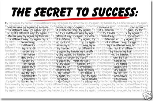 The Secret to Success TRY – School Motivational POSTER