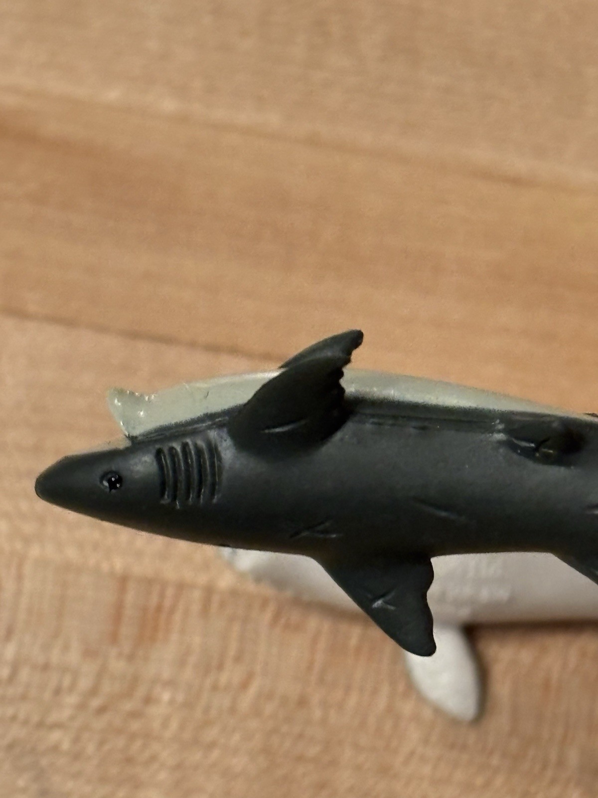 Safari Ltd Dolphin Blue Whale Humpback Whale Plus Unbranded Shark 3” Ocean Set