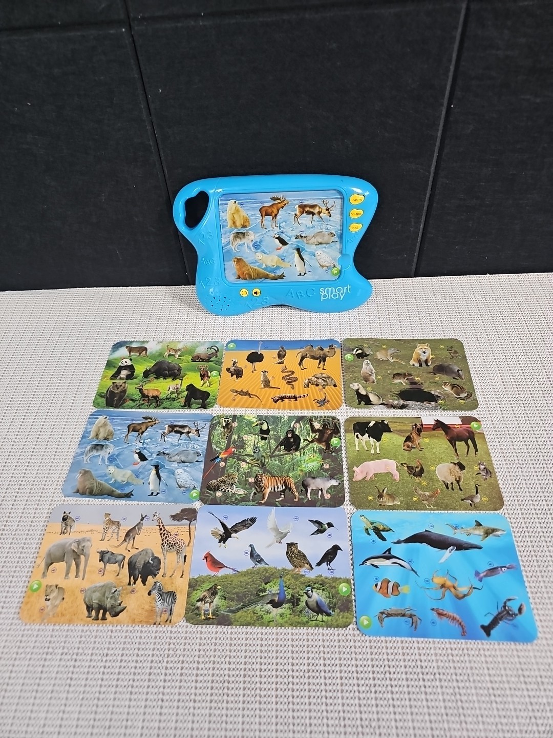 Smart Play Pad Game Electronic Learning Animal Planet Animals Of The World 3+
