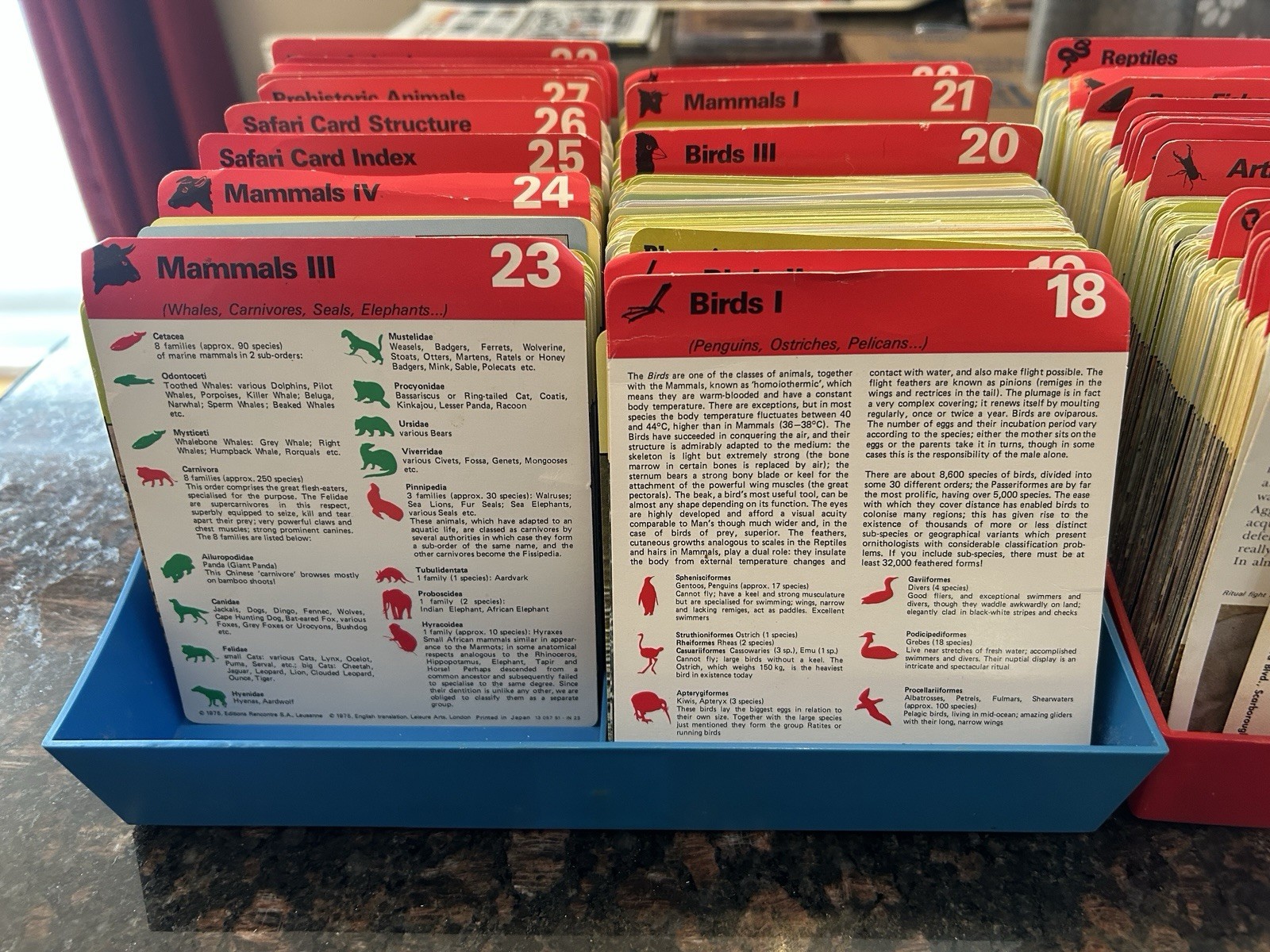Safari Cards Educational Classification Of Animals Box Set 1975 Rencontre 1500+