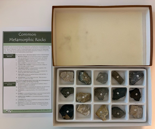 Fisher Science Ed Rock Collection Sedimentary Metamorphic Igneous NOS