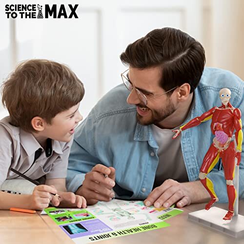 Interactive 3D Human Body Puzzle Model STEM Toy for Kids 8-12 Anatomy Learn