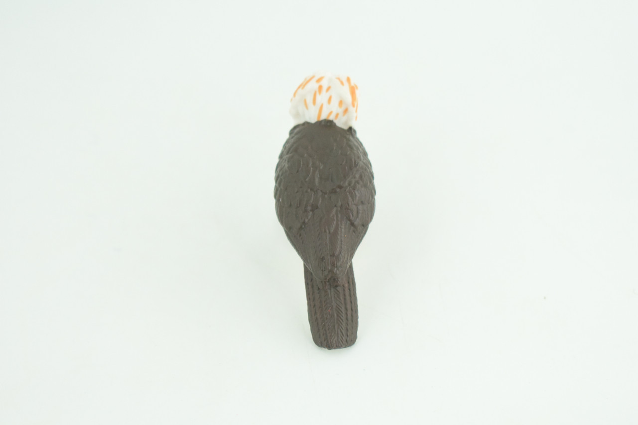 Philippine Eagle, Monkey Eagle Toy, Realistic Painted Rubber 2.5″ CH926 BB204