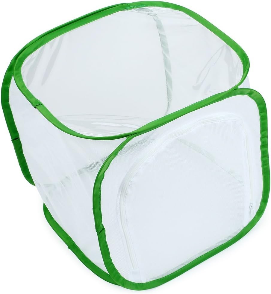 Insect and Cage Terrarium Pop-up 12 X 12 X 12 Inches