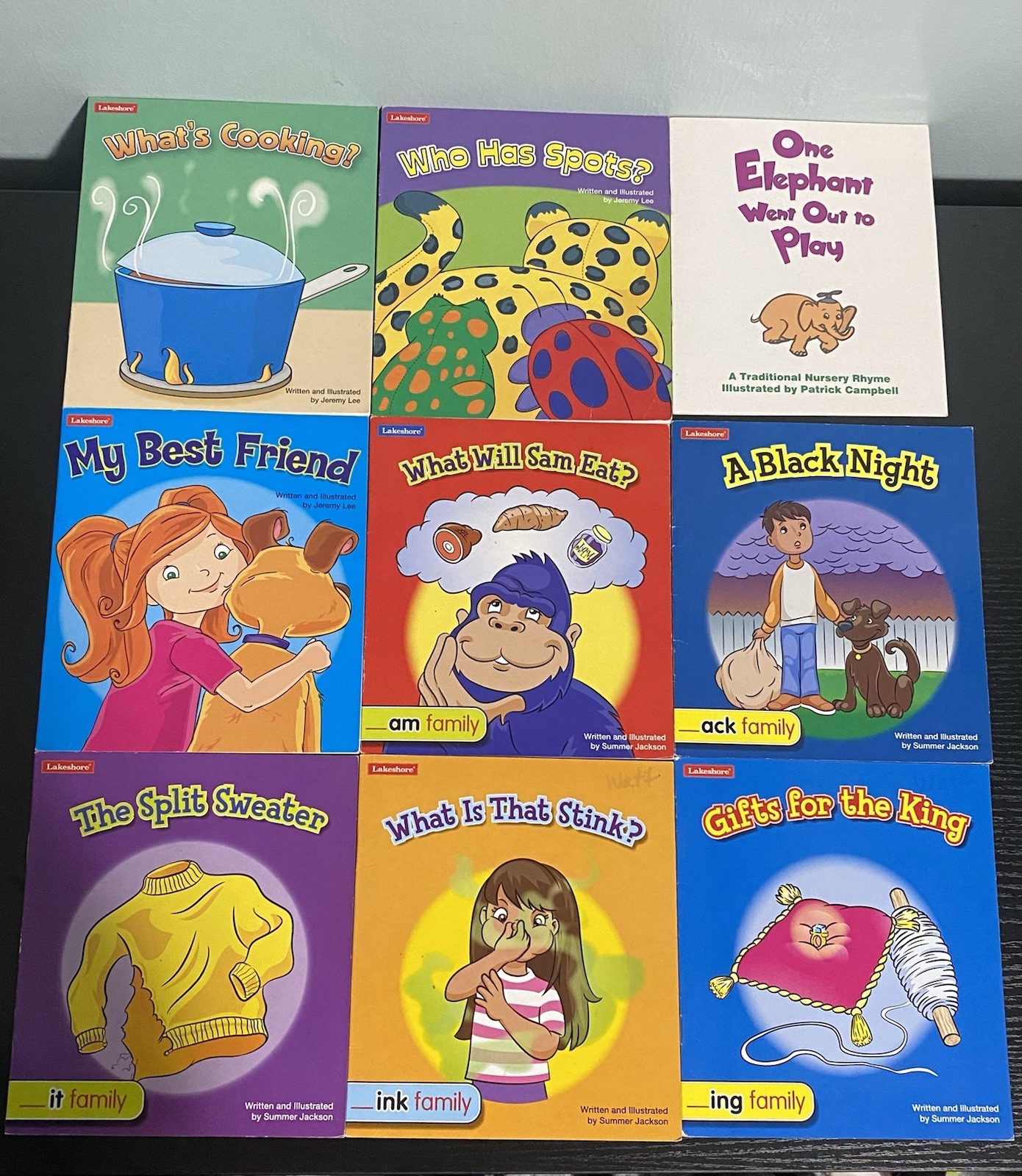 Lakeshore Non fiction Emergent Readers + Others Book Lot of 31 Short Stories