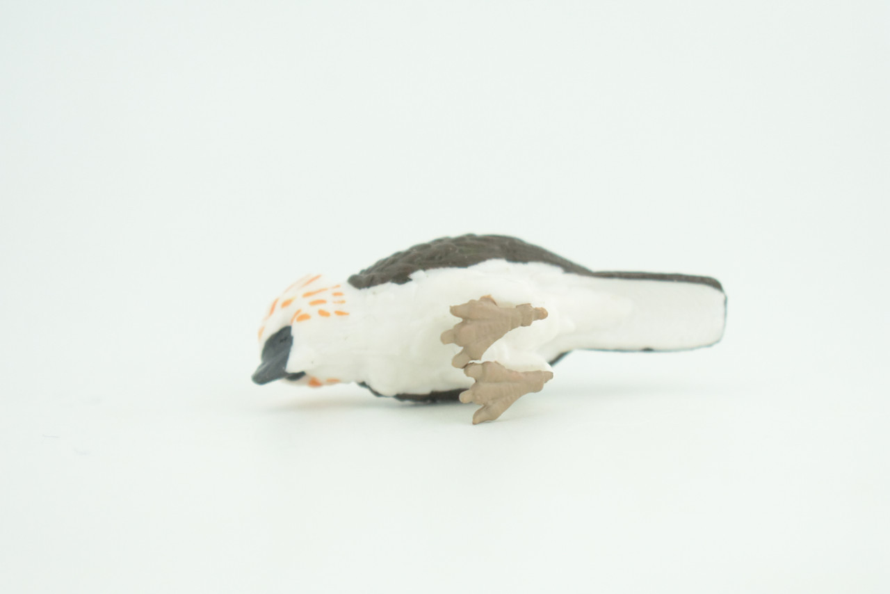 Philippine Eagle, Monkey Eagle Toy, Realistic Painted Rubber 2.5″ CH926 BB204