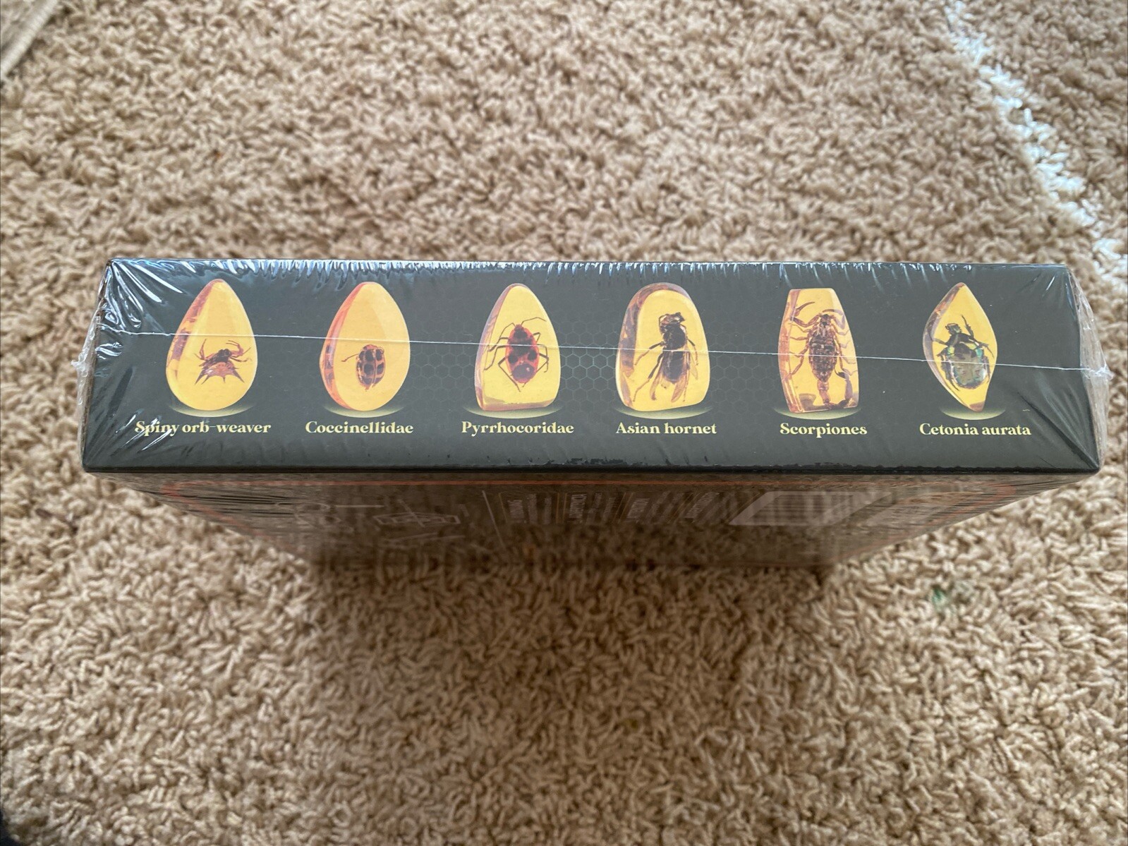 Bug Amber Dig Kit-Artificial Insect Resin, Excavate 6 Insects Specimens NIB