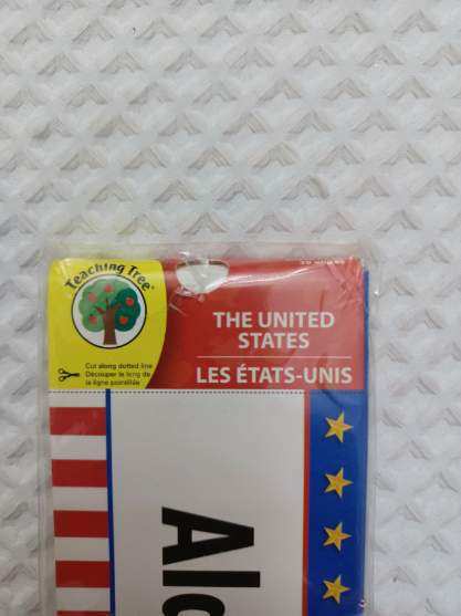 Brand New – The United States, Teaching Tree,