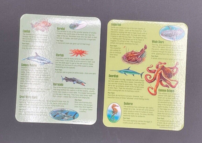 Magnetic Learning Activity S.T.E.M. Educational, Set of 3