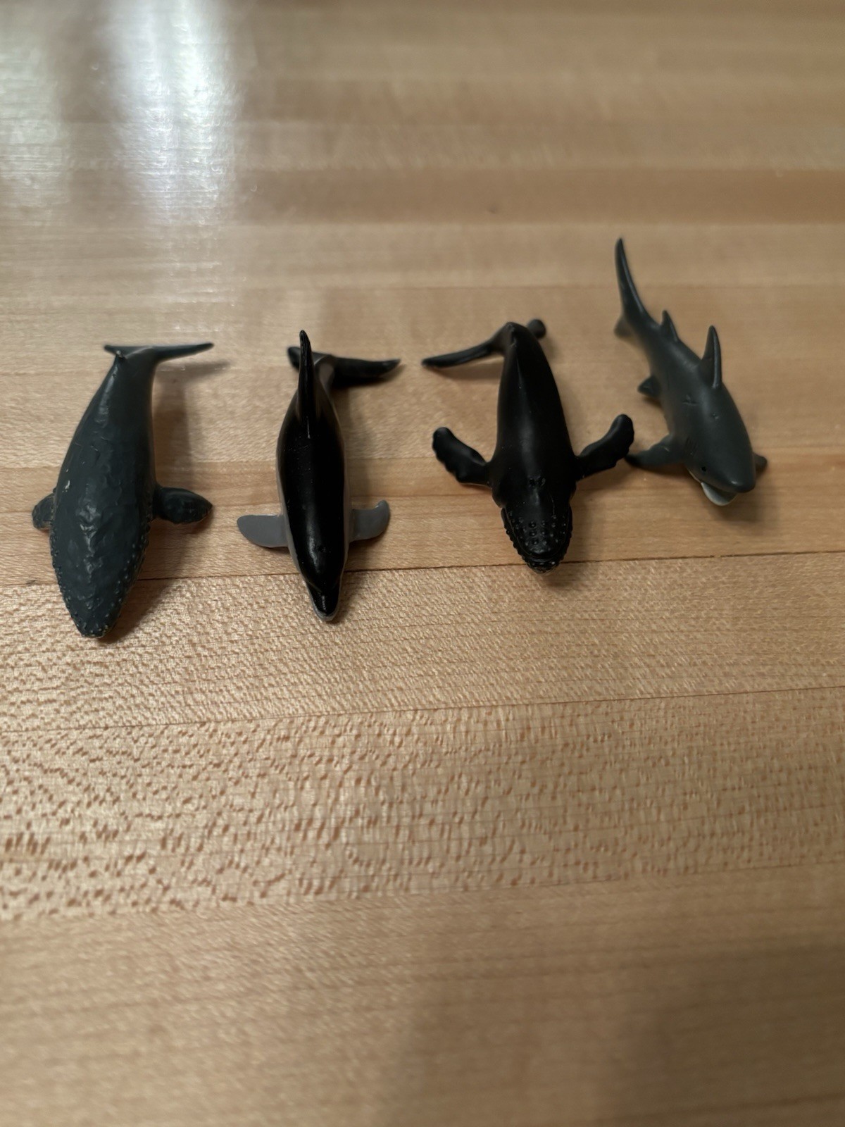 Safari Ltd Dolphin Blue Whale Humpback Whale Plus Unbranded Shark 3” Ocean Set
