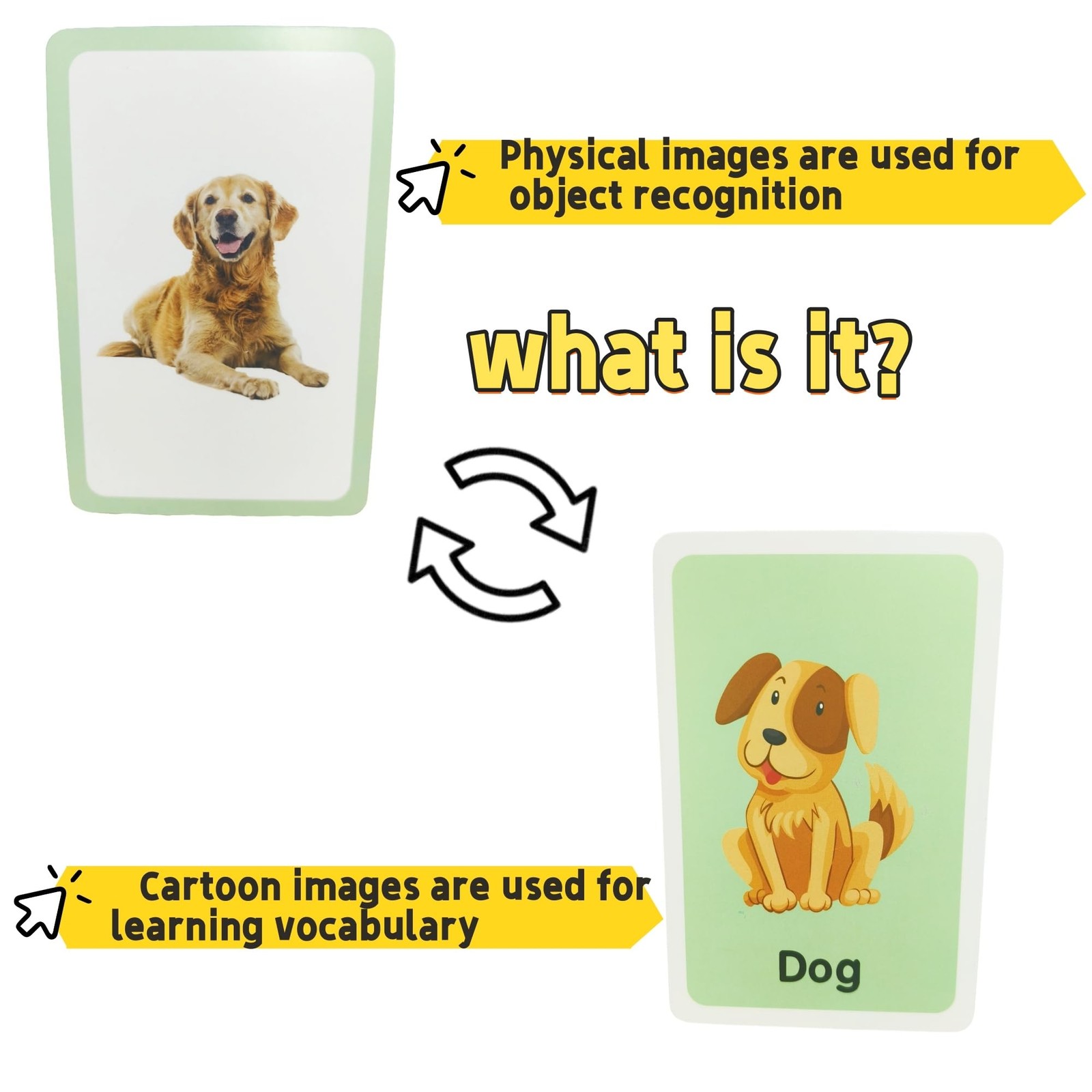 Flash Cards for Toddlers, Educational Learning Set of 144, Body Animal Food F…