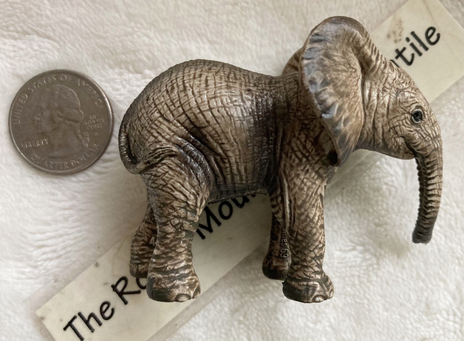 Schleich Elephant Baby Calf 14763 NEW African Wildlife